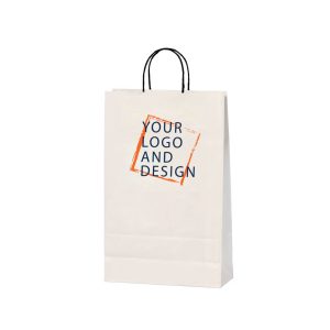 twisted-handle-economic-paper-bags (1)